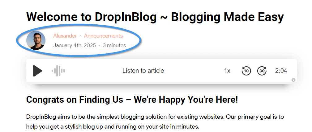 Blog post meta