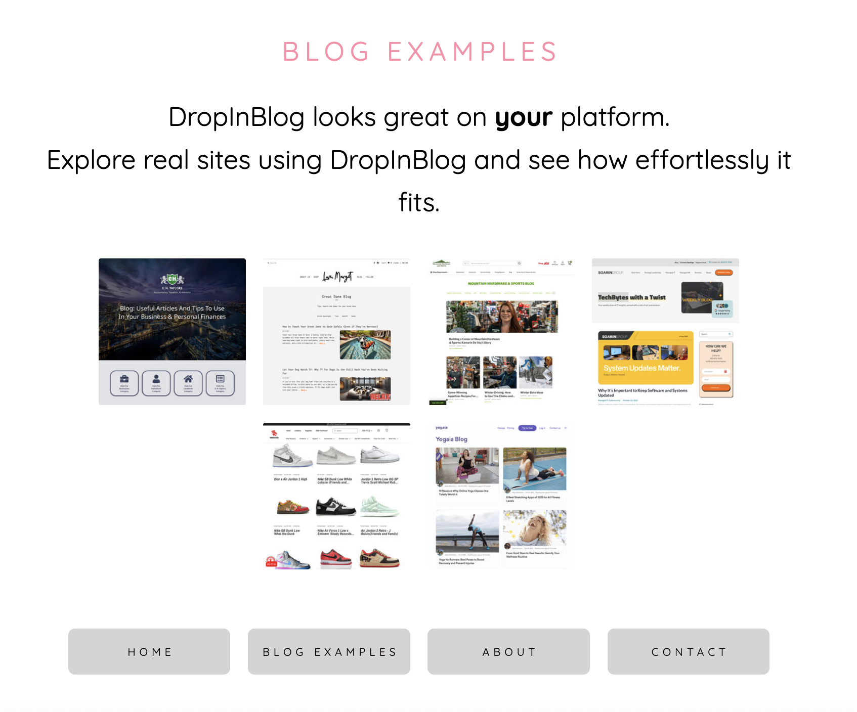 A Blog Examples page created in Carrd