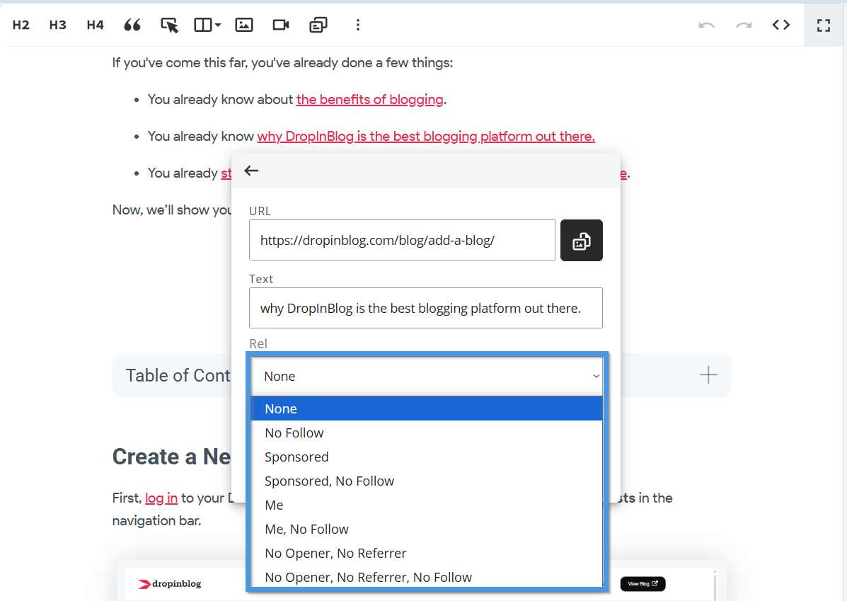 Supported link relationship attributes within the DropInBlog editor
