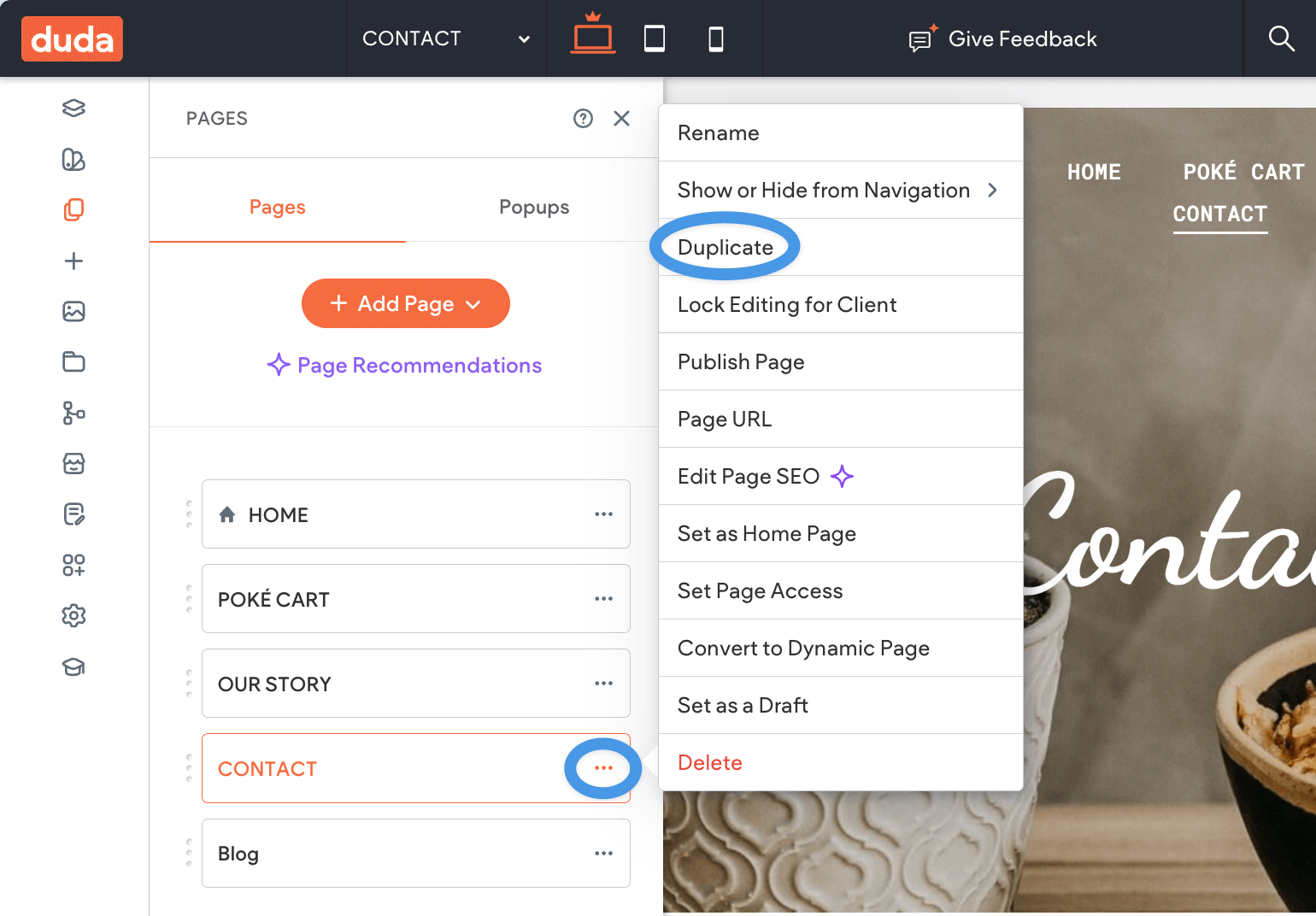 Create new page and duplicate page options in Duda