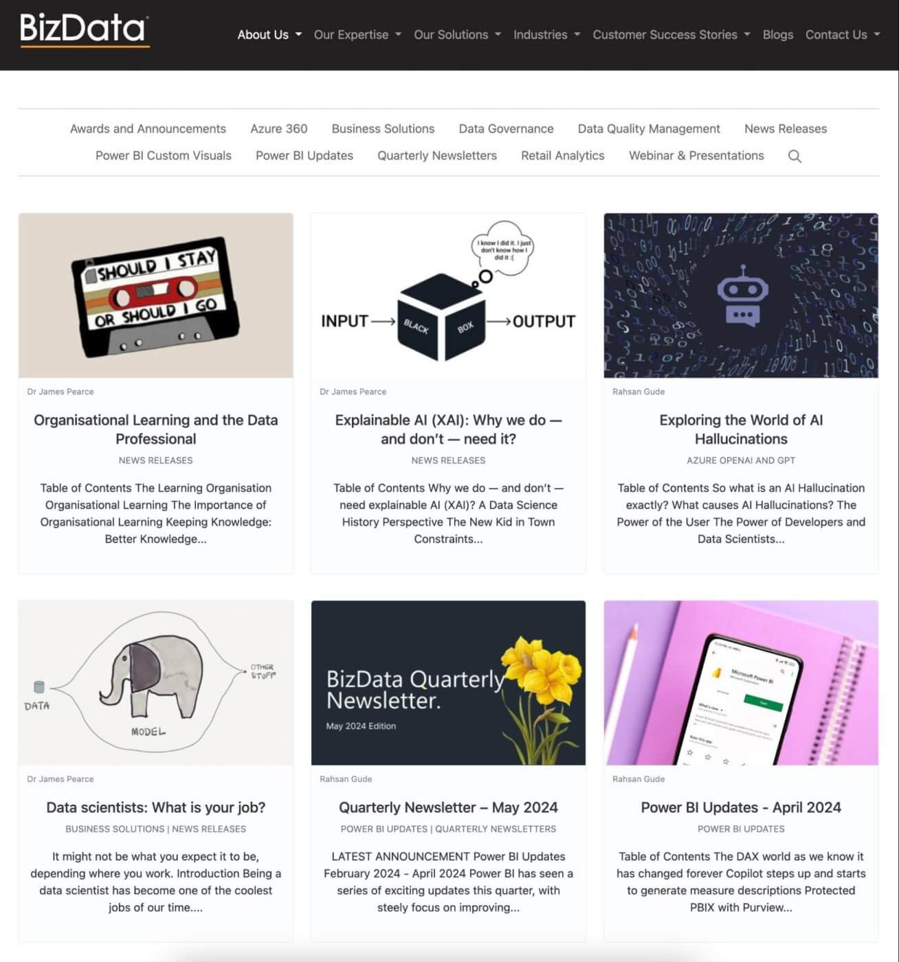 Bizdata Blog