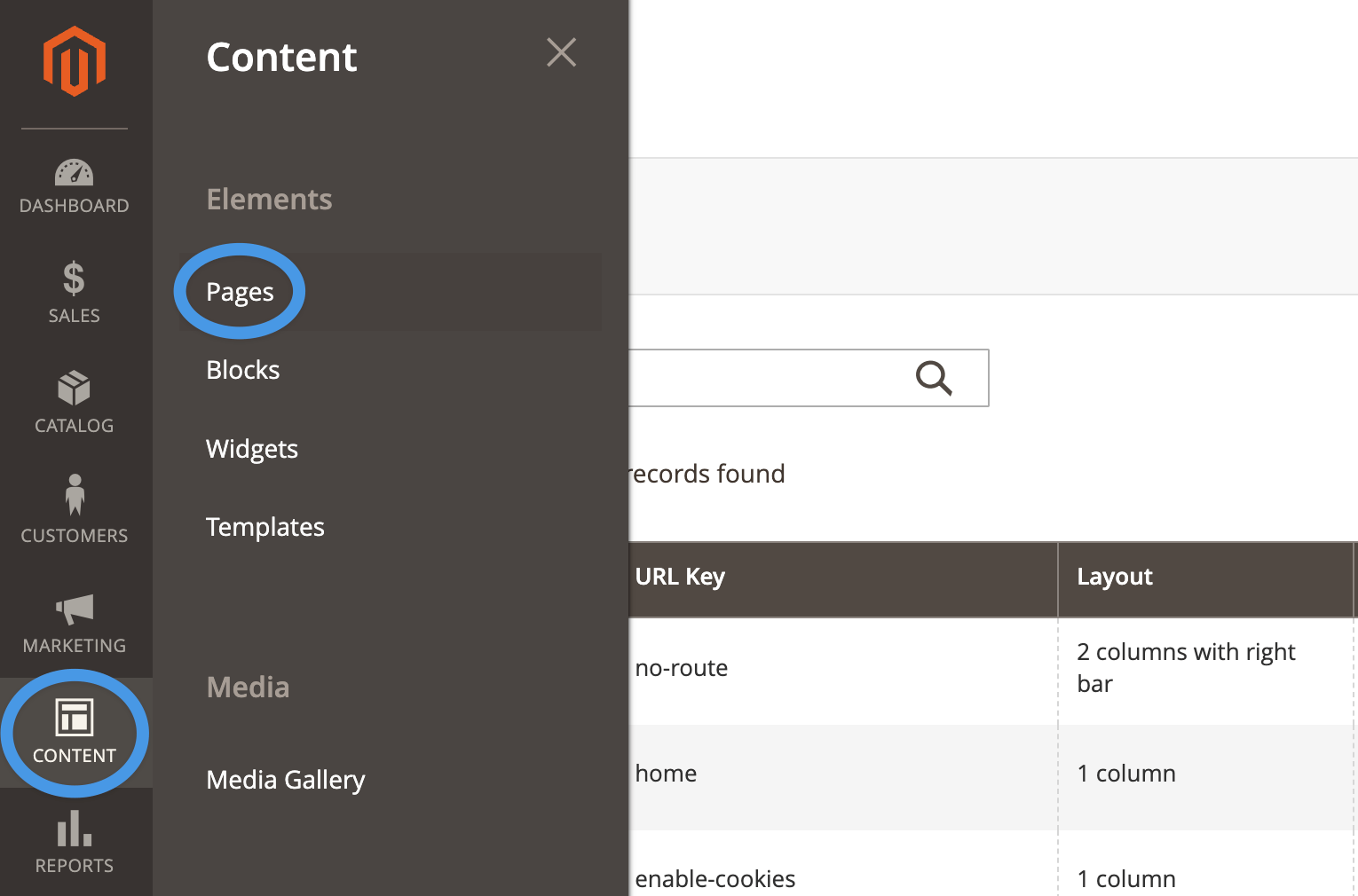 Magento blog install step