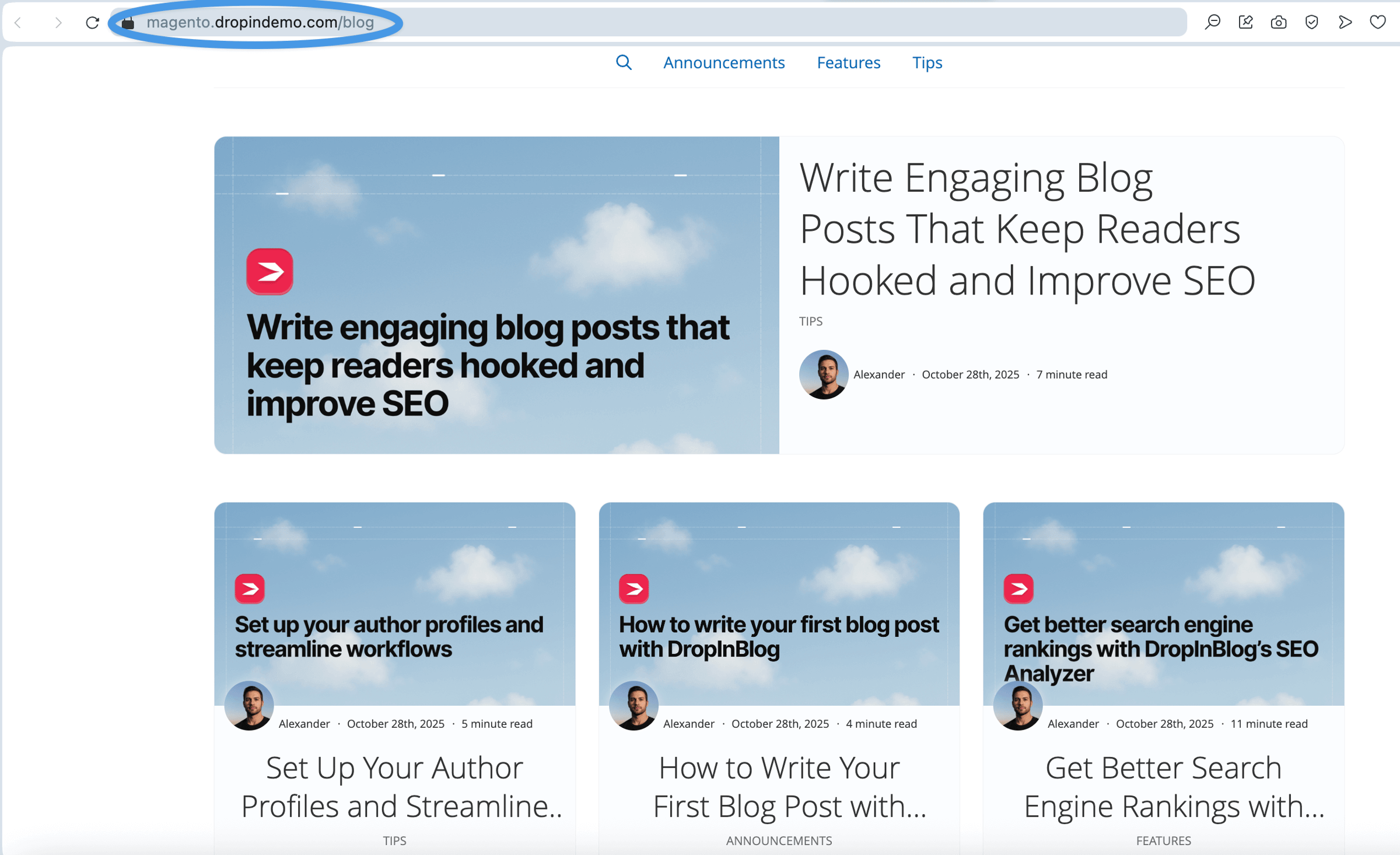 Magento blog install step