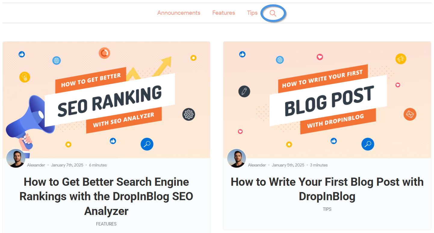 Blog search functionality in DropInBlog