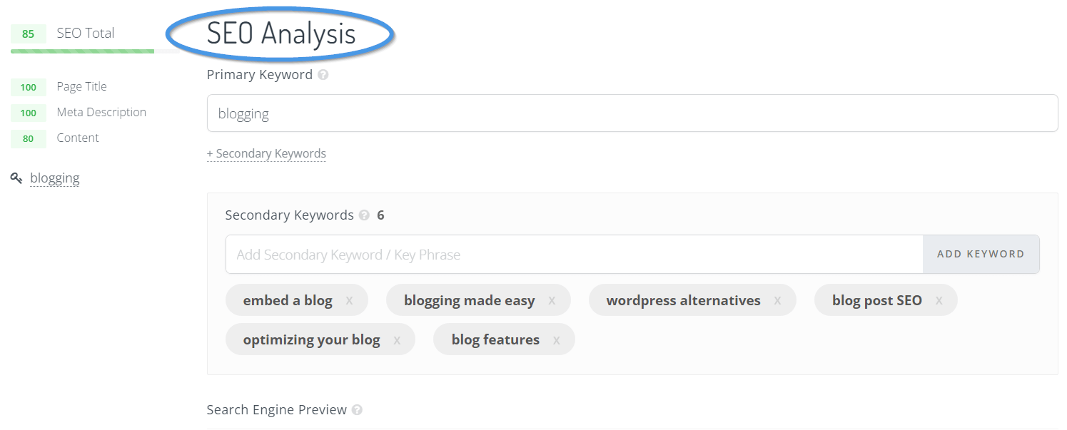 The SEO Analyzer