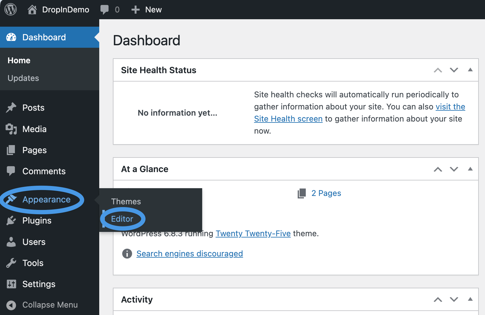 Opening the WordPress editor