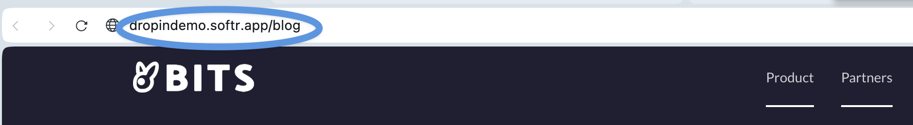 Softr blog install step