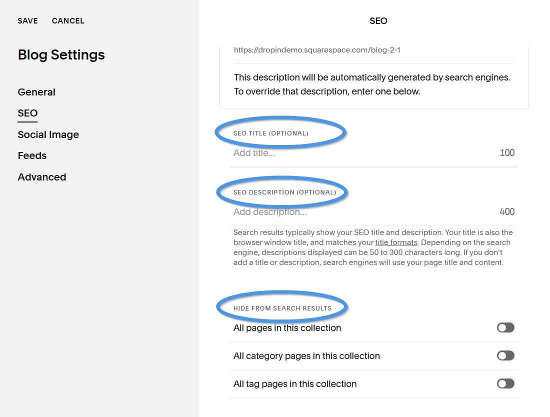 Blog settings for native Squarespace blogs