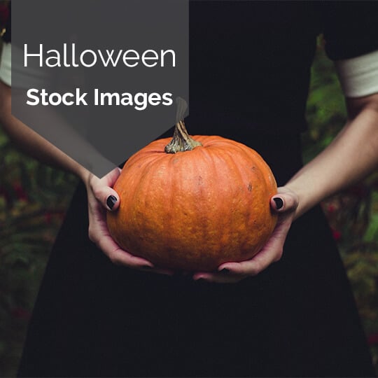 Free Haunted Halloween Stock Images