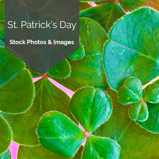 Free St. Patrick's Day Stock Photos & Images for Social Media Posting