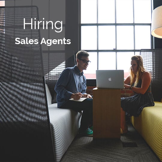 How and When To Hire A Sales Agent in 6 Steps