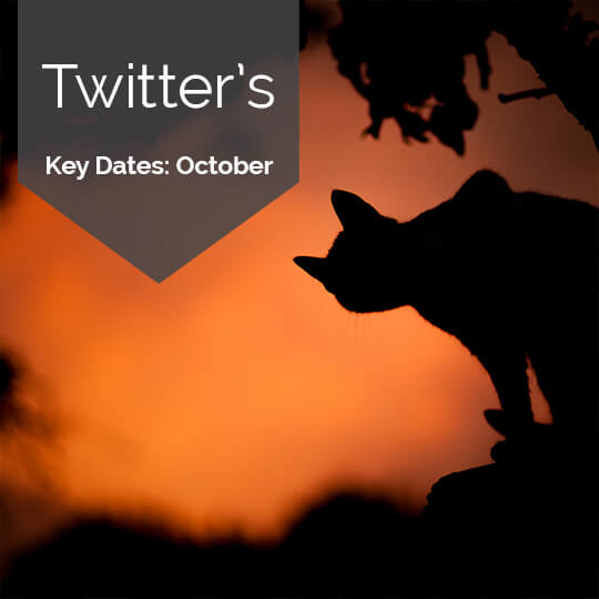 Key Dates for Marketing on Twitter in October