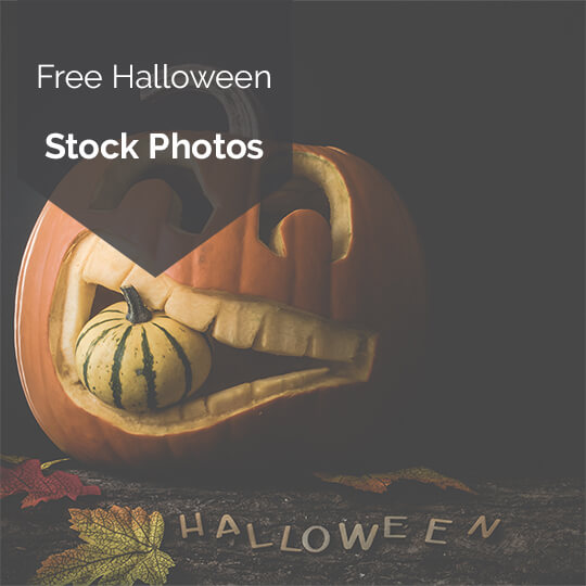 Free Halloween Stock Photos for Social Media