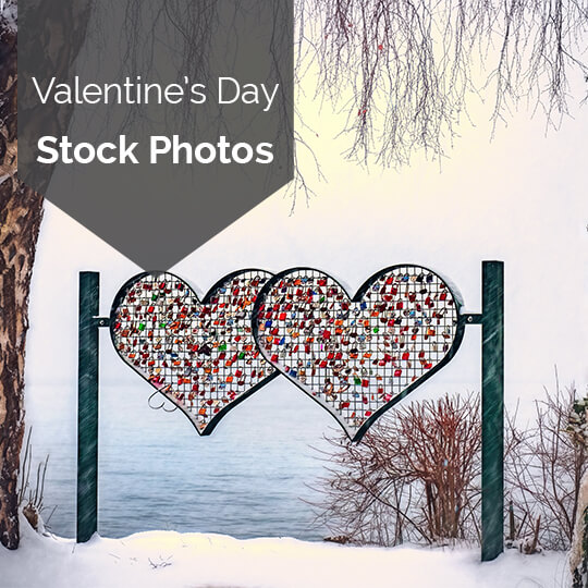 Free 2019 Valentine's Day Stock Photos