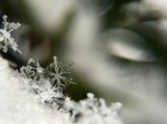 Data Governor Now Supports Snowflake
