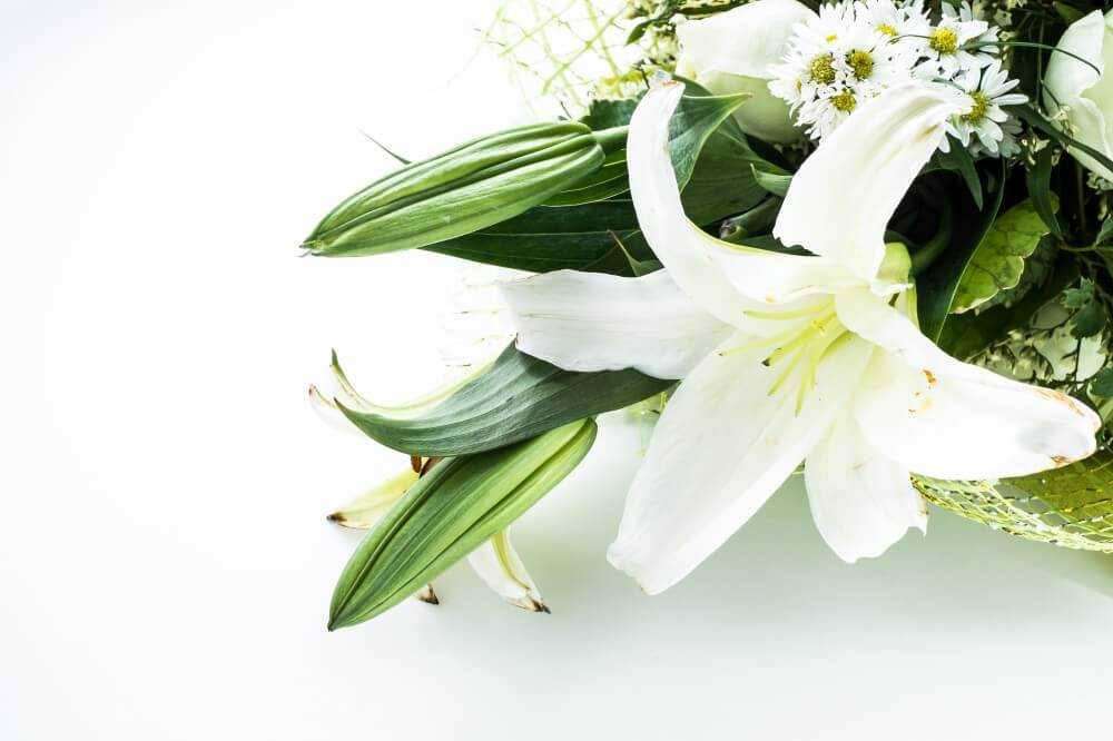 Liljer — en velduftende og elegant favoritt i blomstervasen