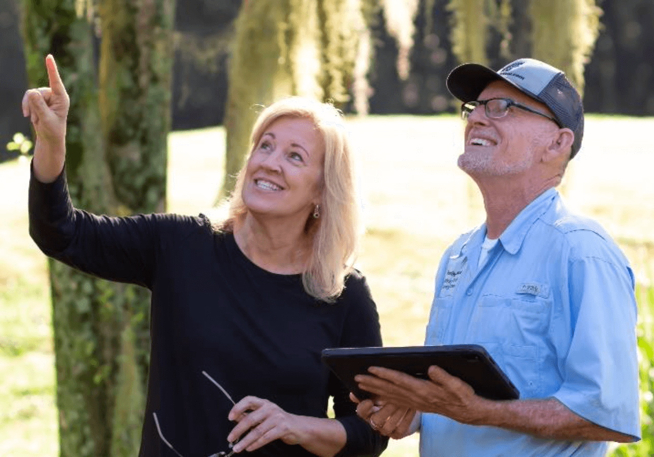 Pre-Hurricane Tree Preparation in Daytona Beach