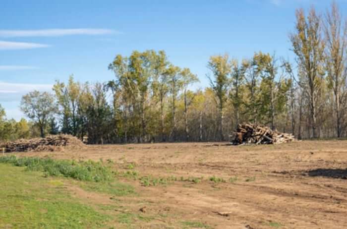 Land Clearing for New Construction: What Orlando Developers and Homeowners Should Know
