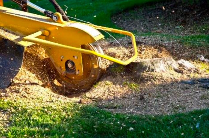 DIY vs. Professional Stump Grinding for Lake Mary Residents