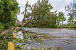 Hurricane Season is Here: Ensure Safety with A Professional Tree Service
