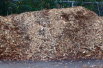 From Tree Cutting to Mulch: Our Free Mulch Program to Improve Your Landscape