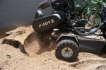 Stump Grinding 101: Why it’s Important for Your Property
