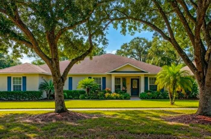 Essential Tree Care Tips for Ormond Beach Homeowners