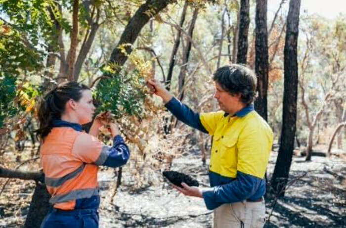Maintaining Tree Health Through Proper Soil Care in Daytona Beach