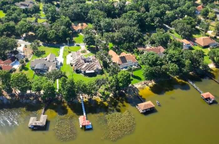 The Best Time of Year for Tree Trimming in Mount Dora