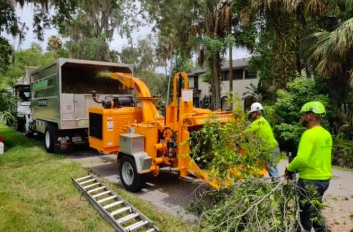 Tips For Tree Trimming