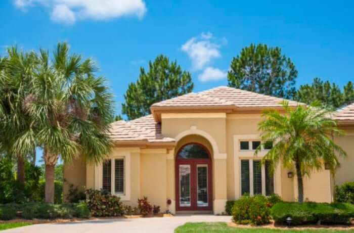 Seasonal Tree Trimming Guide for Mount Dora