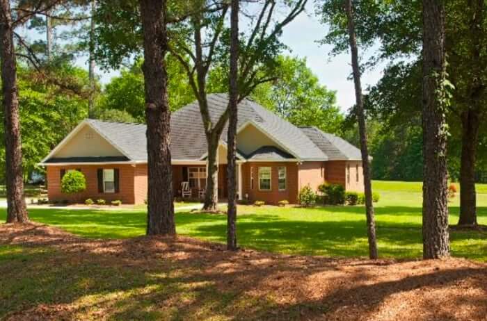 Why Regular Tree Trimming is a Must for Longwood Homeowners