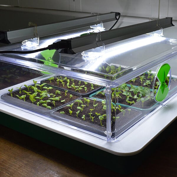 Is It Worth Buying A Heated Propagator?