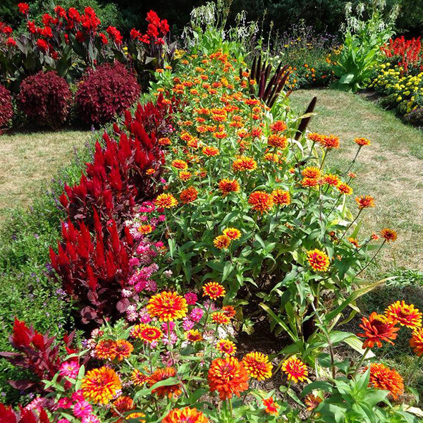 Gardening In September