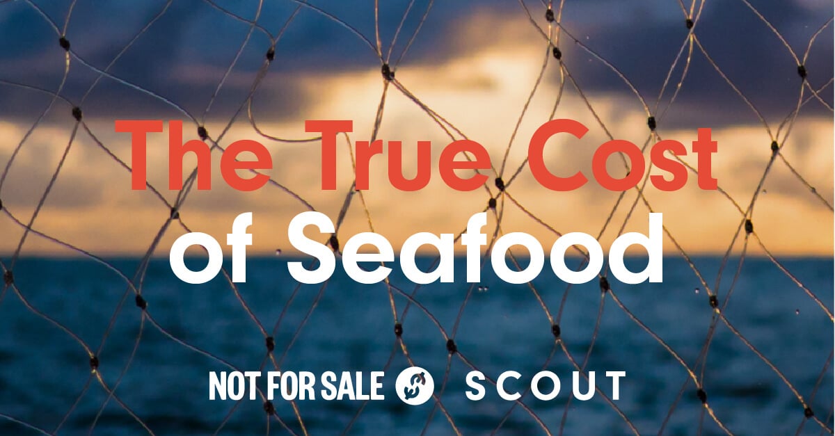 The True Cost of Seafood