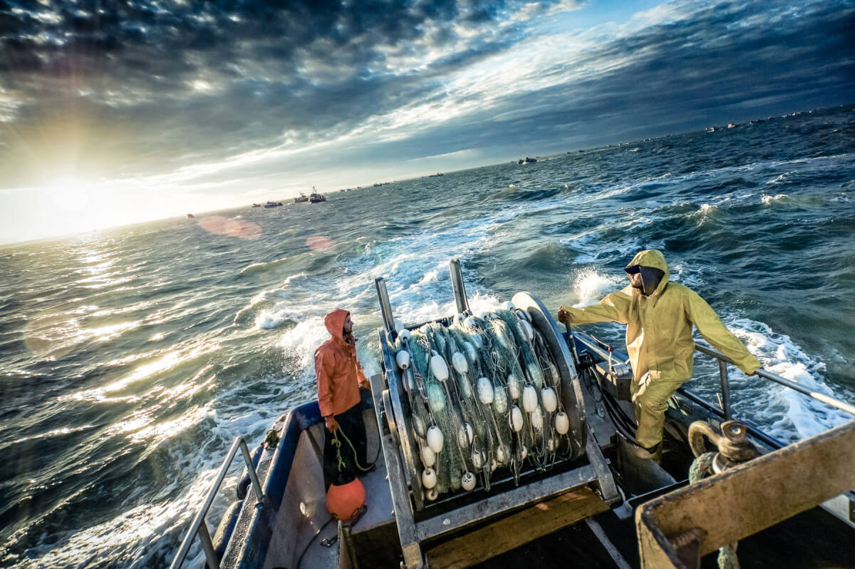 Selecting “The Right” Salmon