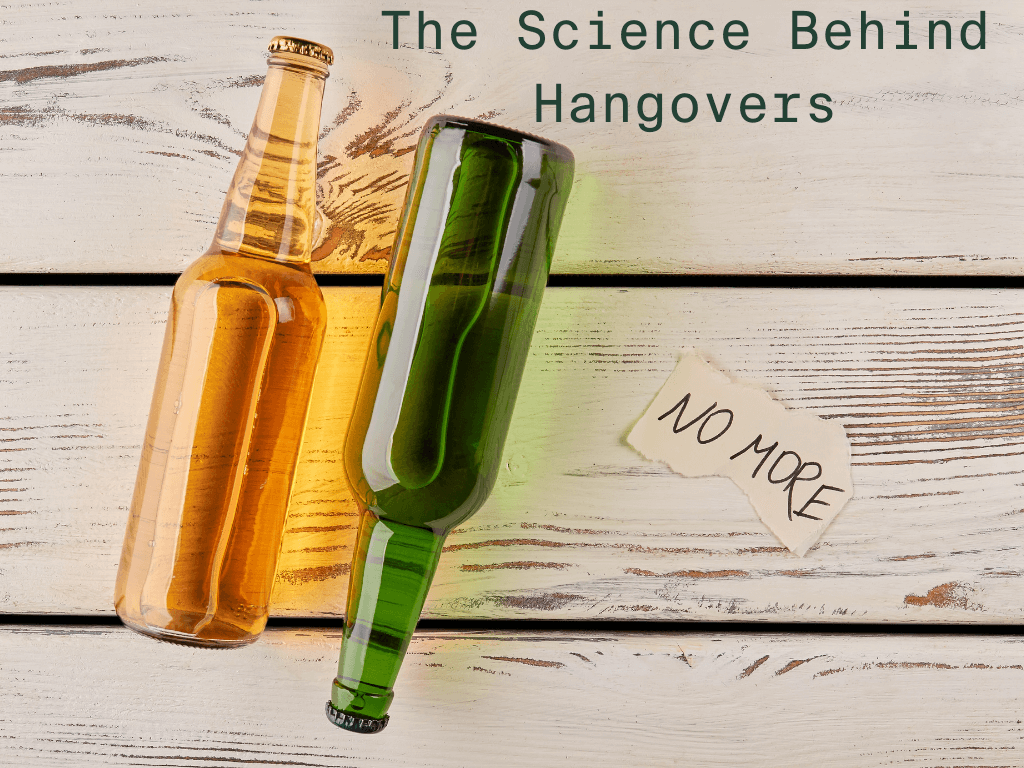 Hangovers Science behind the pain Betterbrand