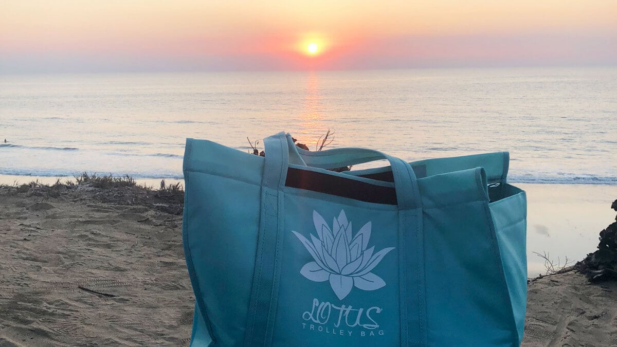 More Ways to Use Your Lotus Trolley Bag
