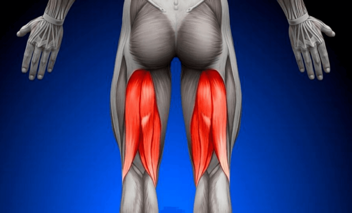 Best Methods to Grow Your Hamstrings