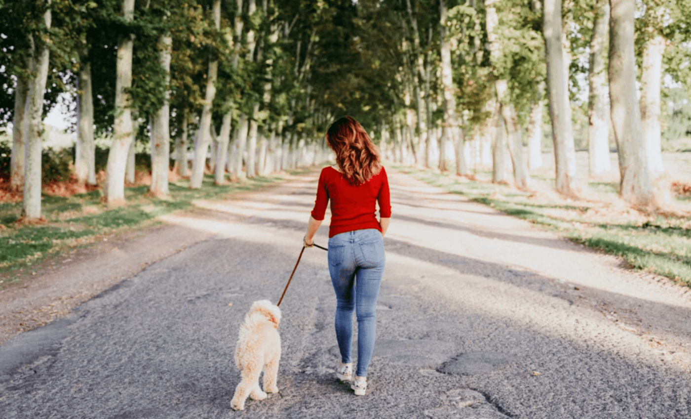 Your Brain on Hot Girl Walks: The Hidden Benefits of Walking