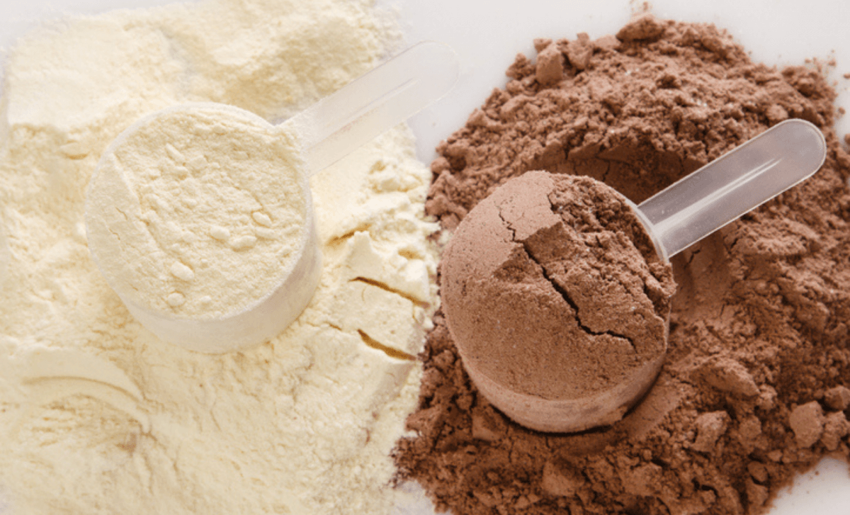 Top Rated Protein Powders for Muscle Recovery