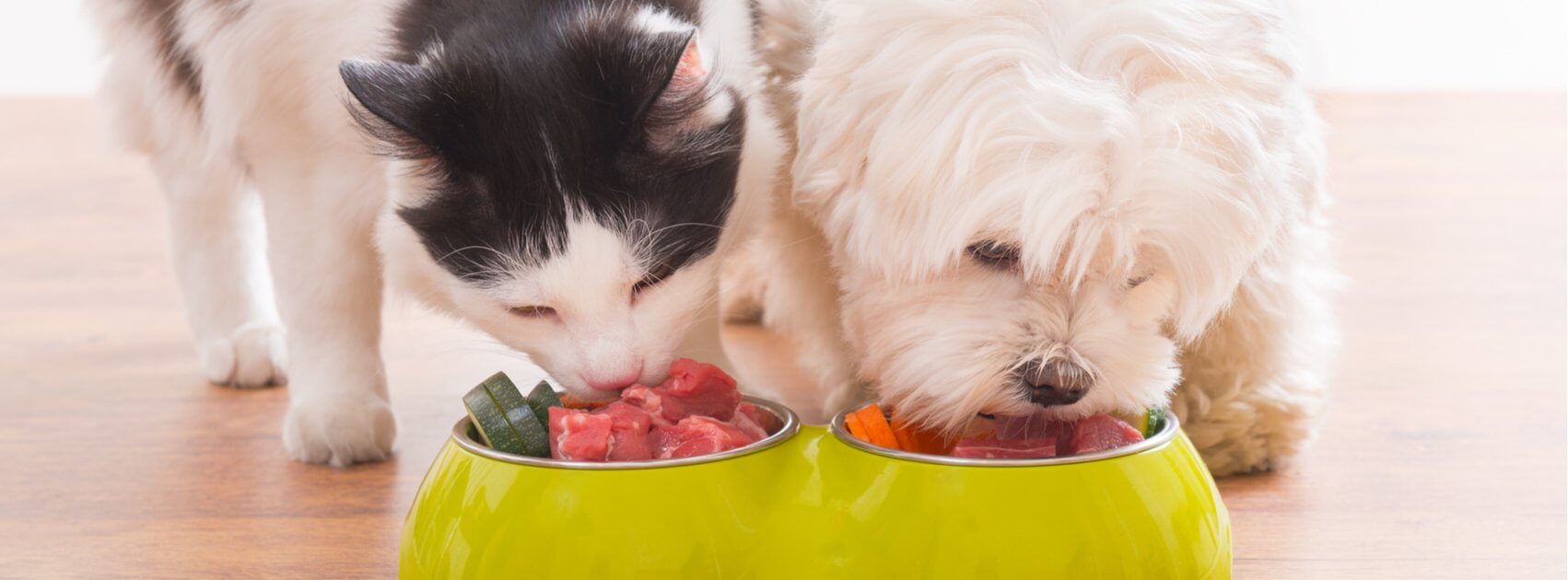 Helpful Tips for Choosing a Healthy Pet Diet