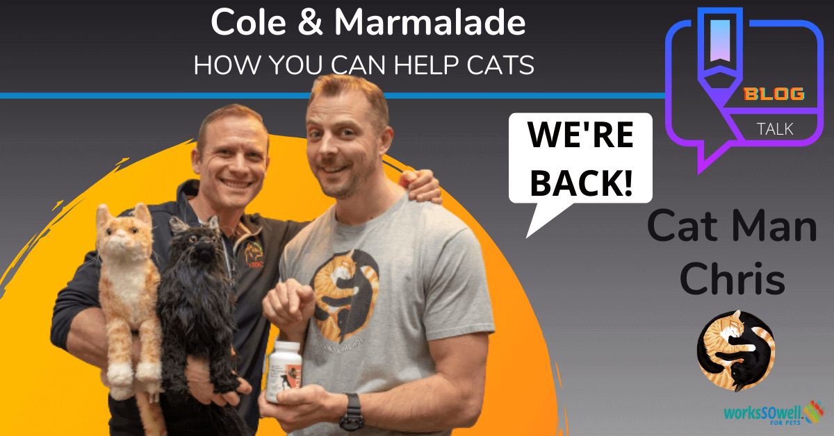 Cole & Marmalade are Back! Interview with Cat man Chris