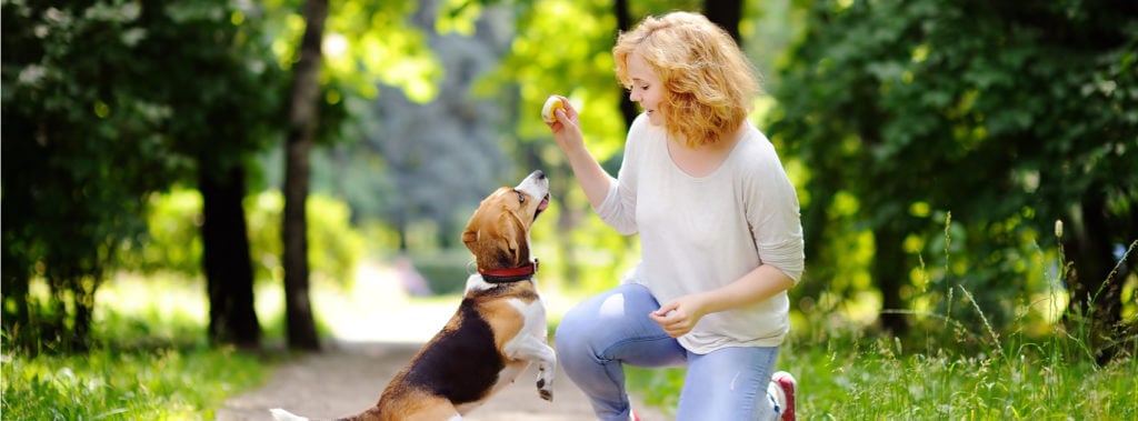 How Dog Trainers Can Stay Strong and Healthy