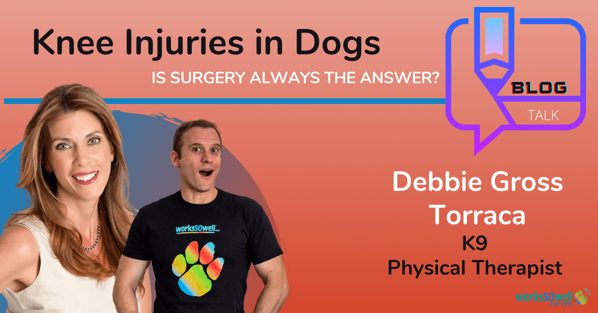 Knee Injuries in Dogs: Is Surgery Always the Answer?