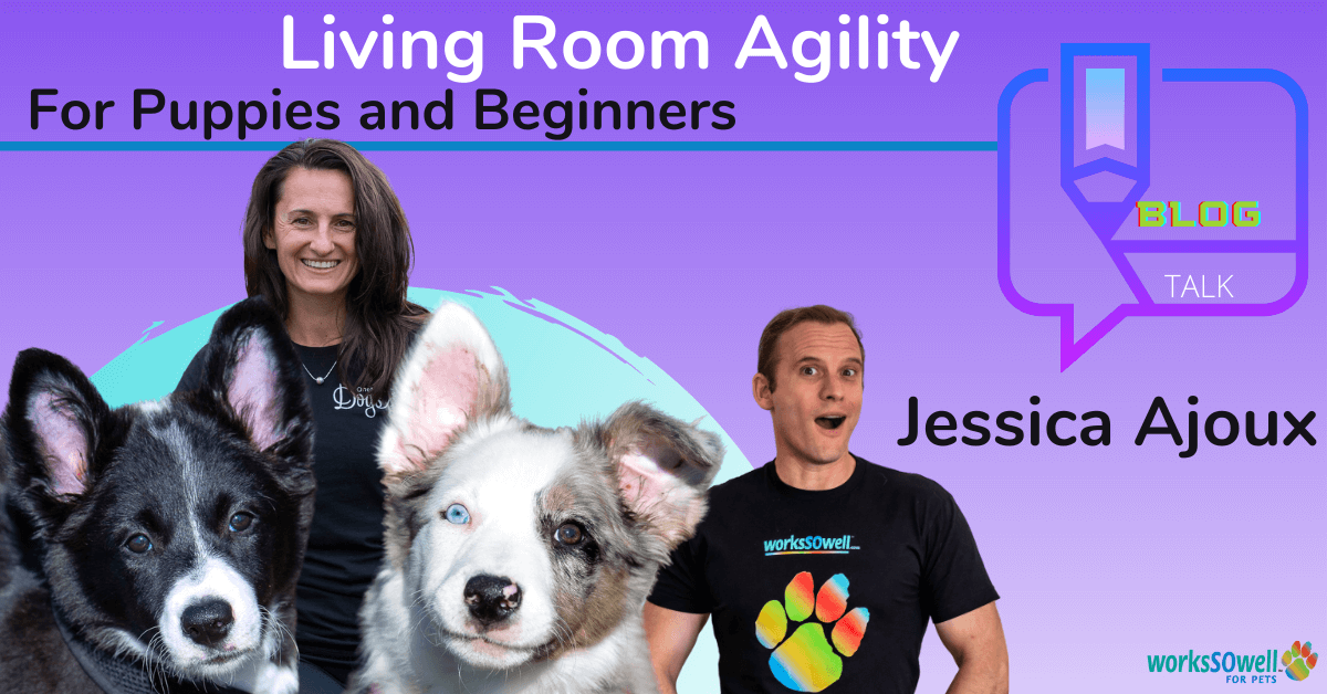 Living Room Agility for Puppies and Beginners