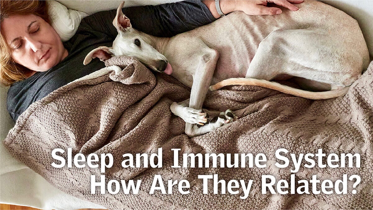 Sleep and Immune System - How Are They Related?