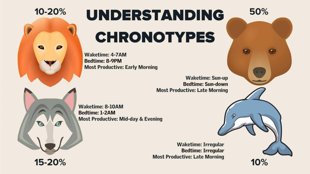 The Lion Chronotype: Your Ultimate Guide