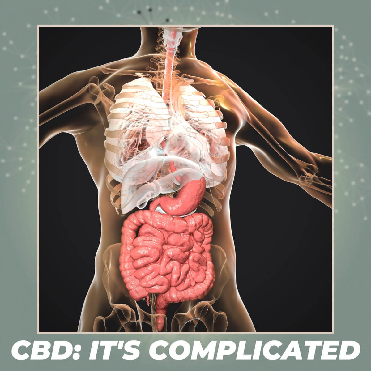 CBD: Savior of the Bliss Molecule, Vol. IV