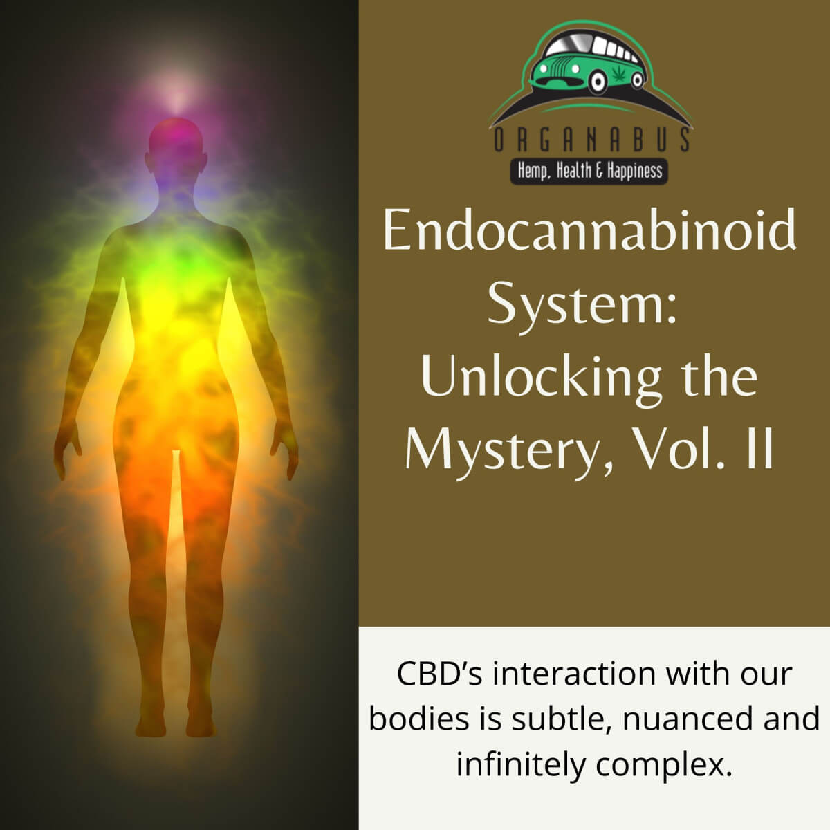 Endocannabinoid System: CBD Unlocking the Mystery, Vol. II